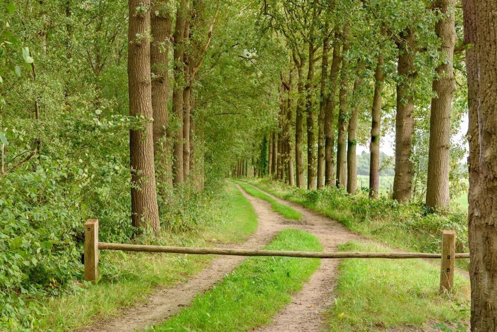 Prachtig Vrijstaand Familiehuis Op Groot Perceel Scherpenzeel  Экстерьер фото
